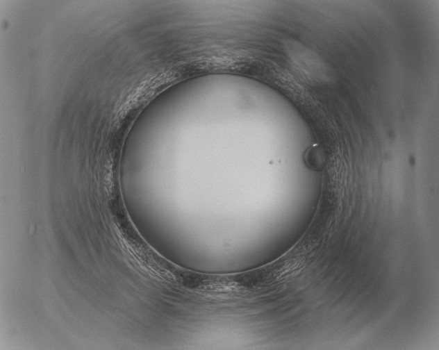 X0000053110642200508012126