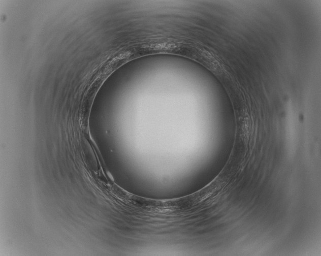 X0000053110643200508012126