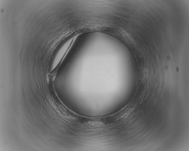 X0000053110644200508012126