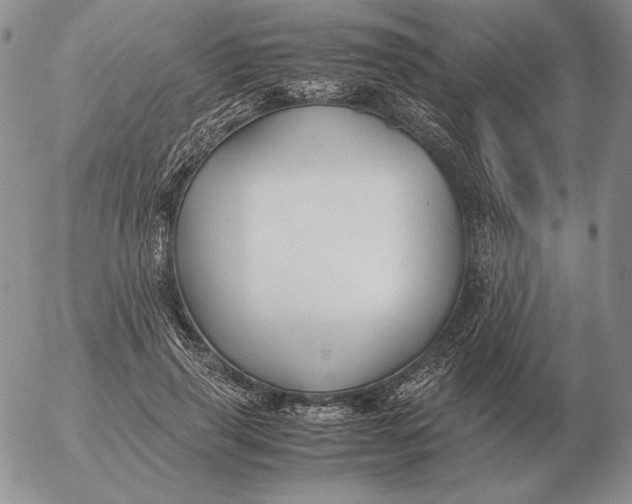 X0000053110645200508012126