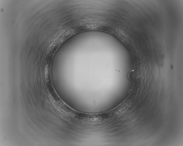 X0000053110646200508012126