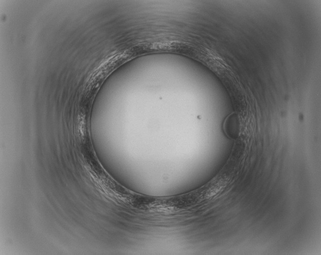 X0000053110648200508012126