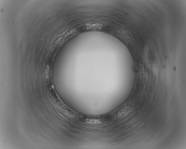 X0000053110649200508012126