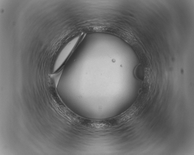 X0000053110650200508012126