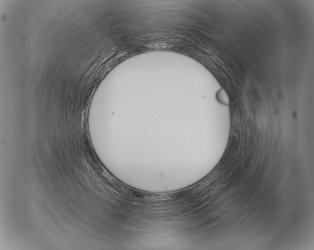 X0000053110652200508012126