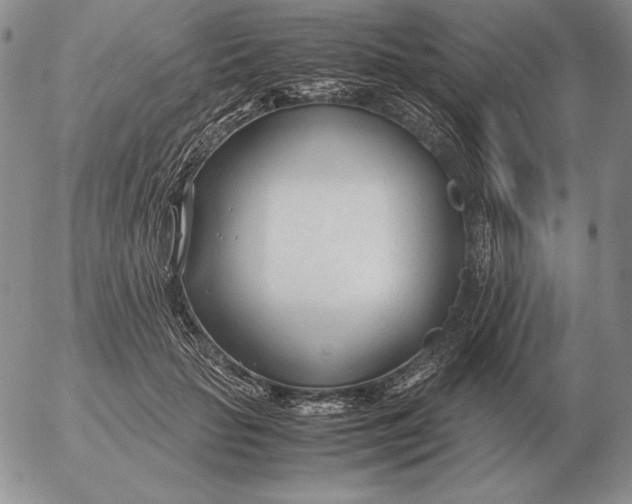 X0000053110653200508012126