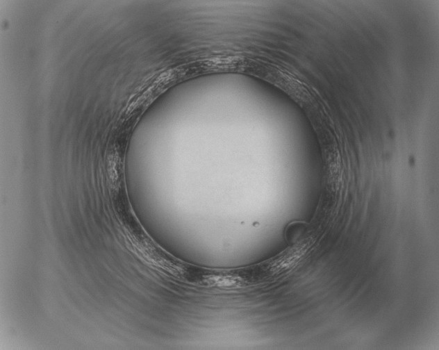 X0000053110654200508012126