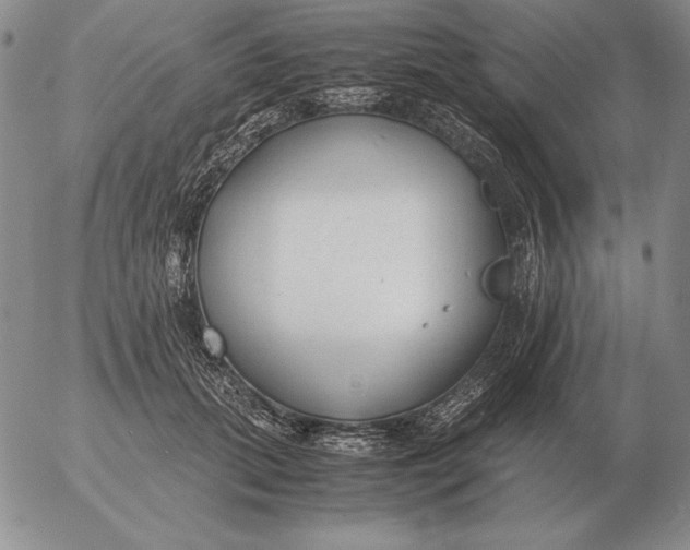 X0000053110655200508012126