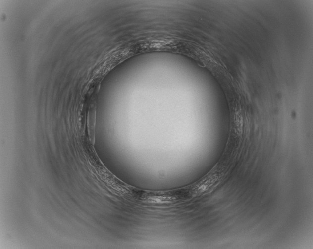 X0000053110657200508012126