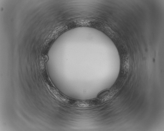 X0000053110658200508012126