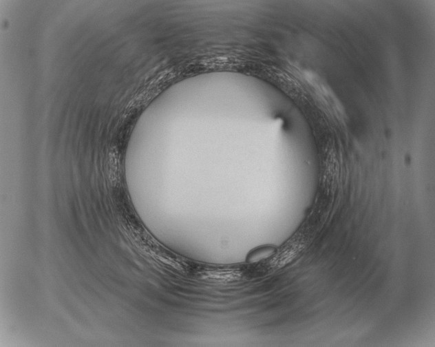 X0000053110659200508012126