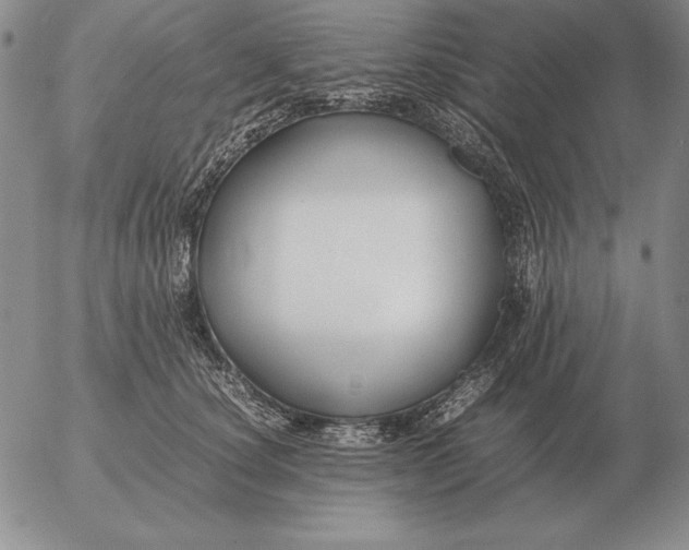 X0000053110660200508012126