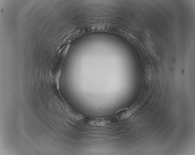 X0000053110661200508012126