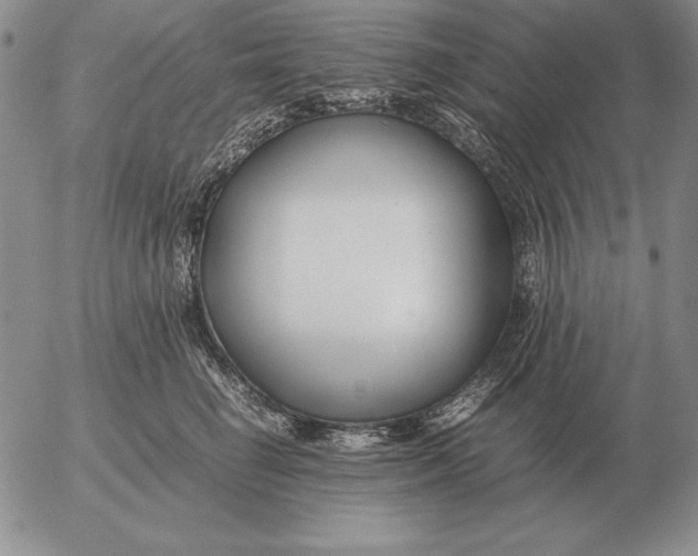 X0000053110662200508012126