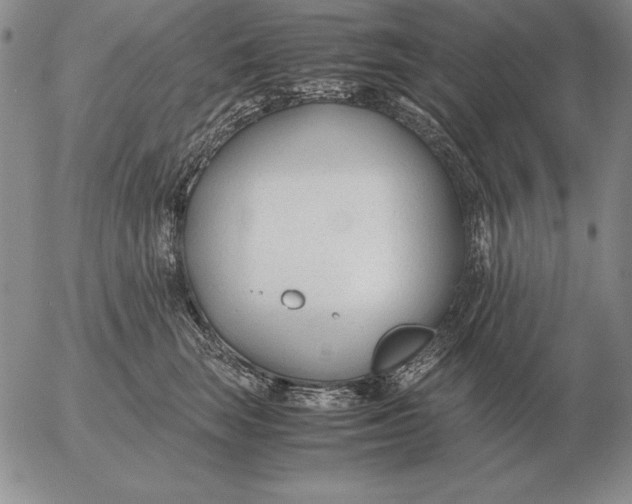 X0000053110663200508012126