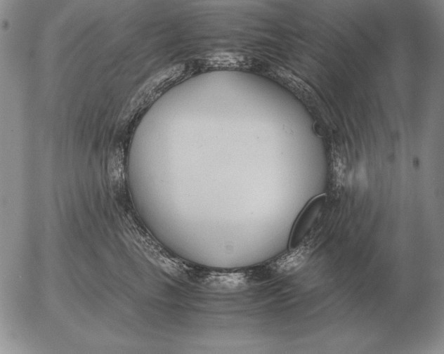 X0000053110665200508012126