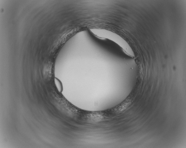 X0000053110668200508012126