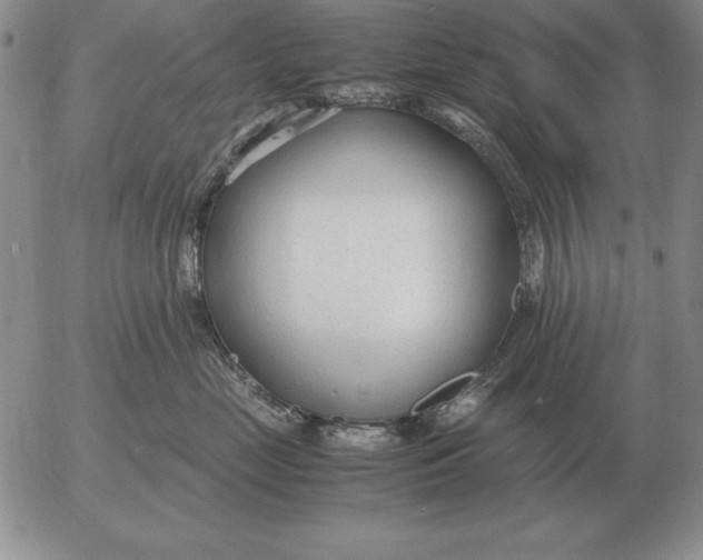 X0000053110669200508012126