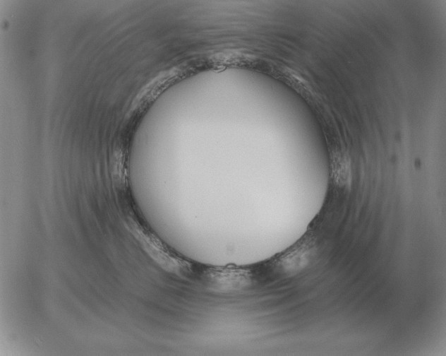 X0000053110670200508012126