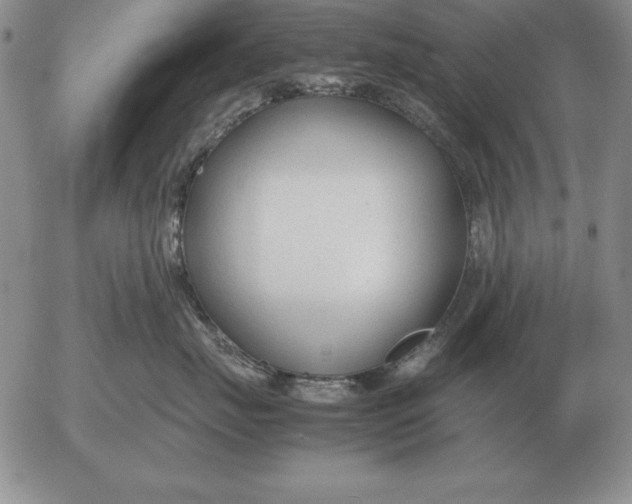 X0000053110671200508012126