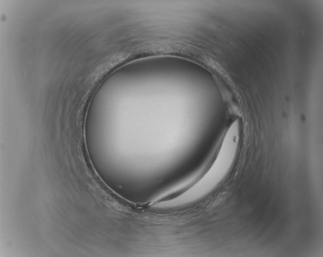 X0000053110673200508012125