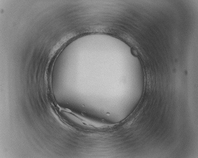 X0000053110674200508012125