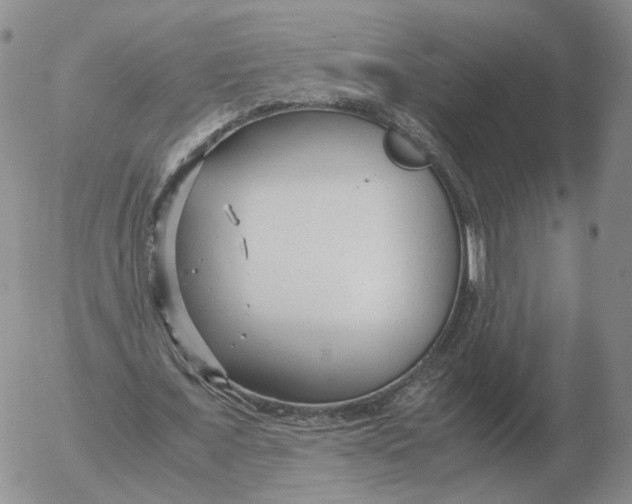 X0000053110675200508012125