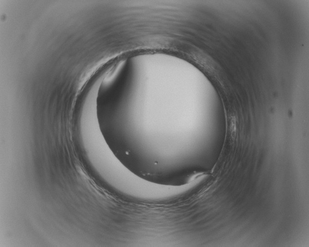 X0000053110676200508012125