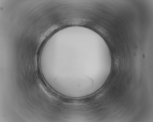 X0000053110678200508012125