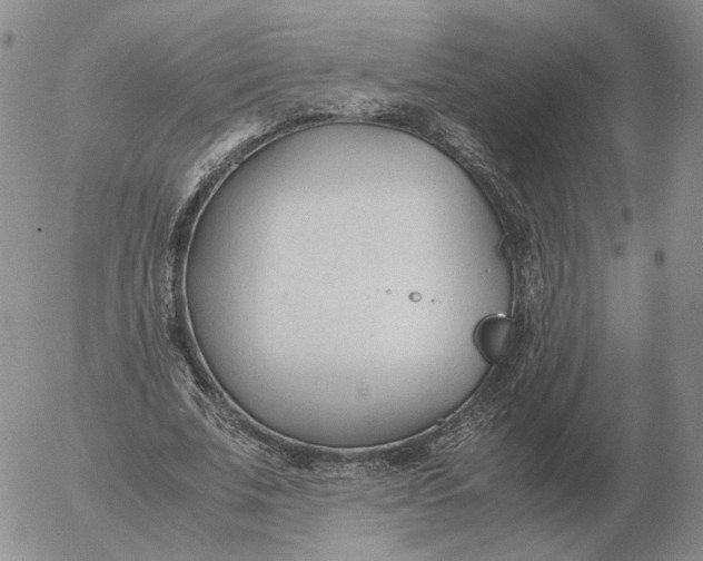 X0000053110679200508012125