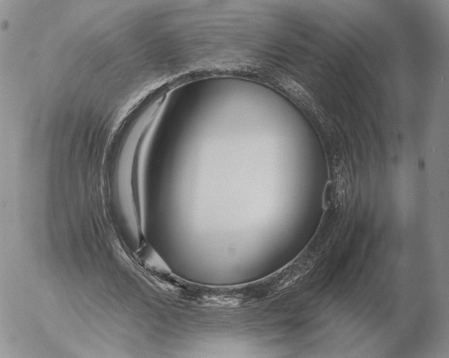 X0000053110680200508012125