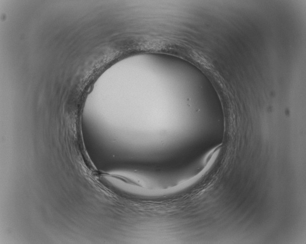 X0000053110681200508012125