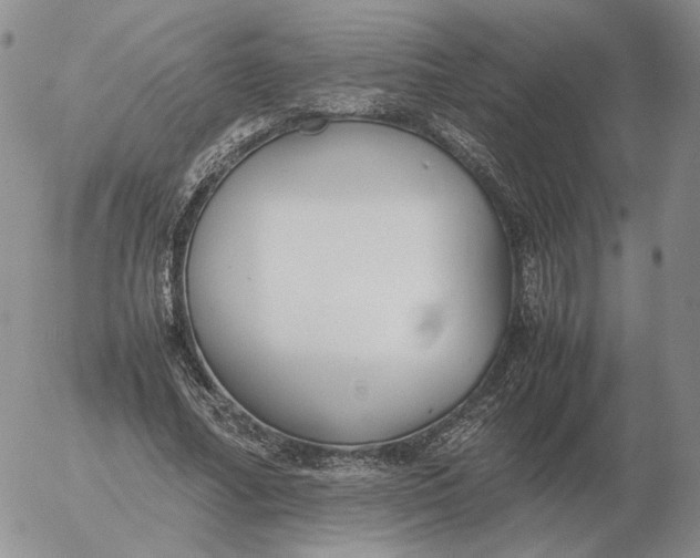 X0000053110682200508012125