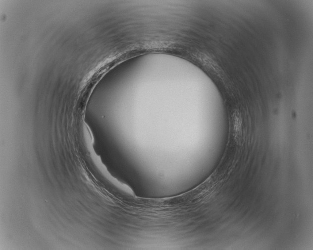 X0000053110684200508012125