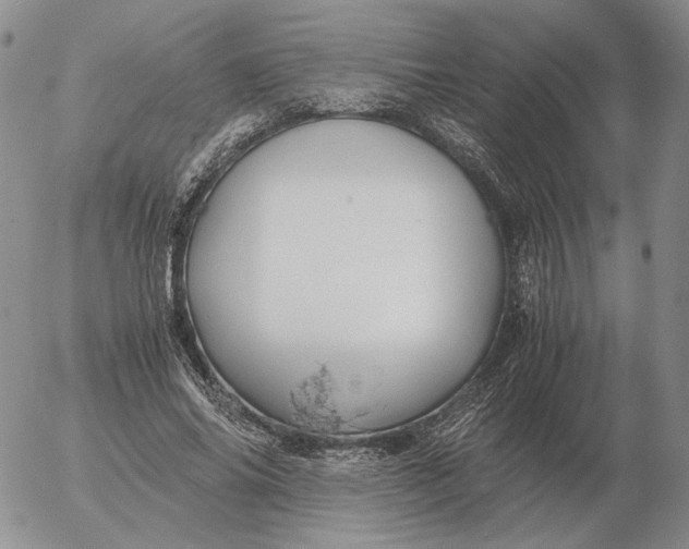 X0000053110686200508012125