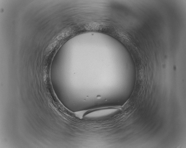 X0000053110687200508012125