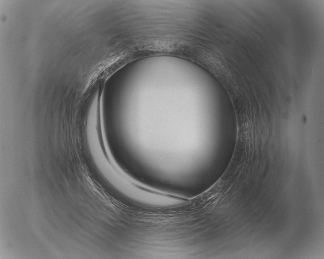 X0000053110688200508012125