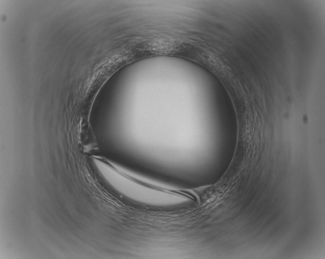 X0000053110689200508012125