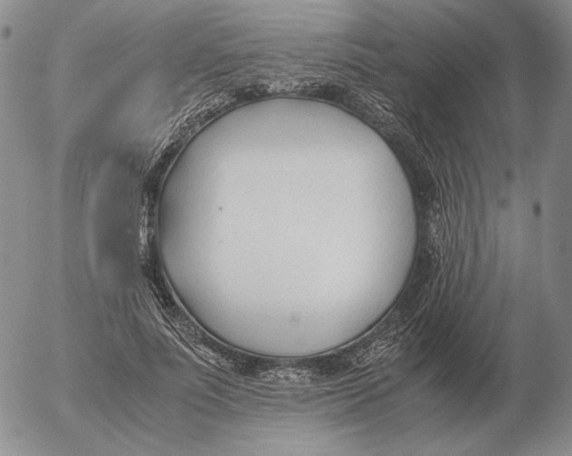 X0000053110691200508012125