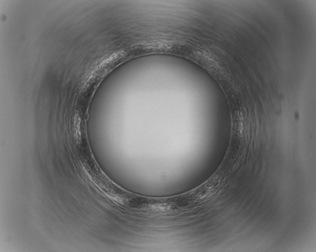 X0000053110692200508012125