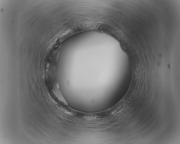 X0000053110693200508012125