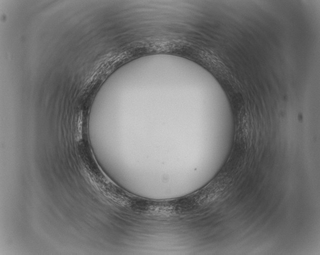 X0000053110694200508012125