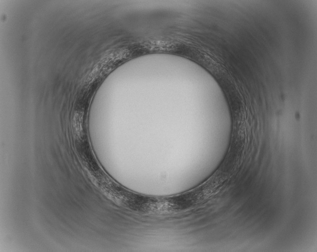 X0000053110695200508012125