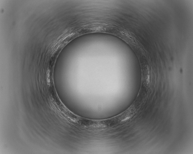 X0000053110696200508012125