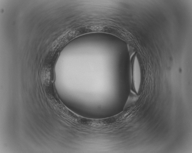 X0000053110697200508012125