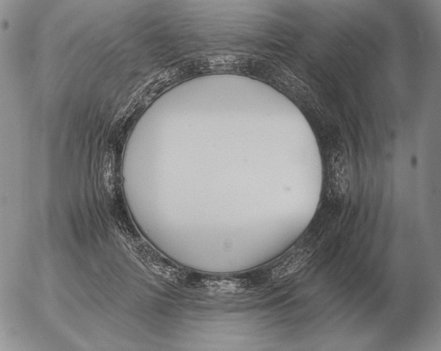 X0000053110698200508012125