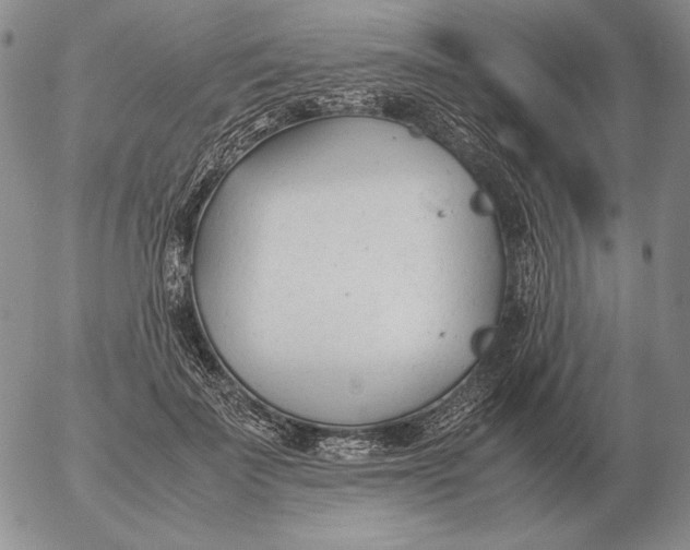 X0000053110699200508012125