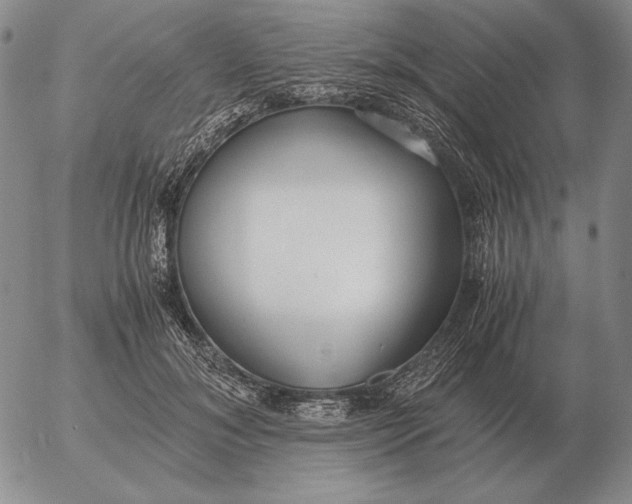 X0000053110700200508012125