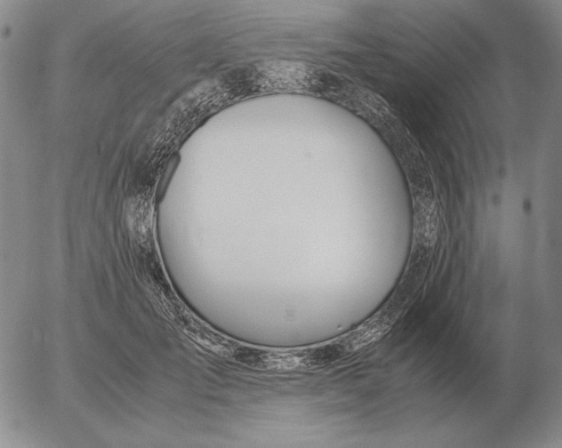 X0000053110701200508012125