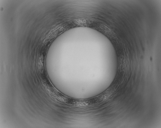 X0000053110702200508012125